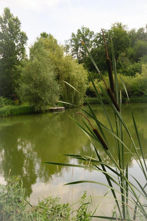 Les Temps Des Sources Daire Veyrines-de-Domme Dış mekan fotoğraf